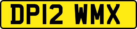 DP12WMX