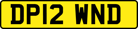 DP12WND