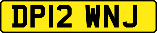 DP12WNJ