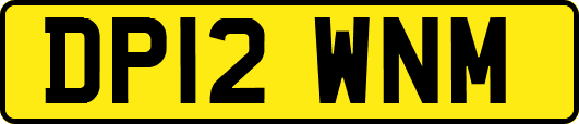 DP12WNM