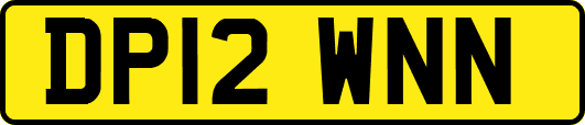 DP12WNN