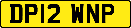 DP12WNP