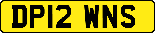 DP12WNS
