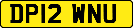 DP12WNU