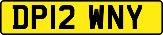 DP12WNY