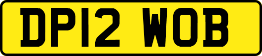 DP12WOB