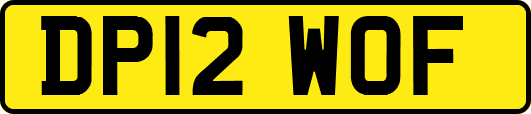 DP12WOF