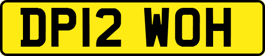DP12WOH