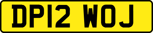 DP12WOJ