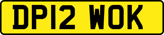 DP12WOK