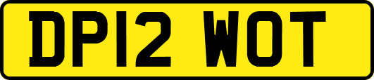 DP12WOT