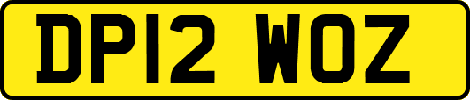 DP12WOZ