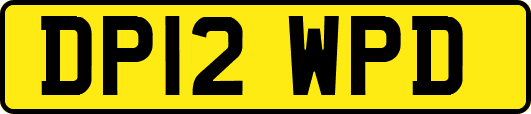 DP12WPD