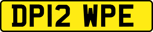 DP12WPE