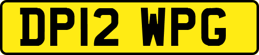 DP12WPG