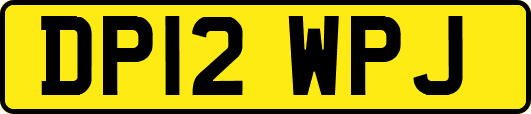 DP12WPJ