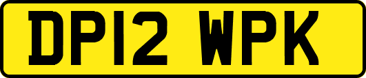 DP12WPK