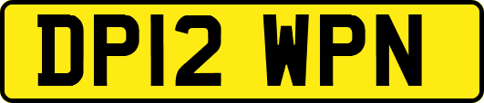DP12WPN