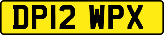 DP12WPX