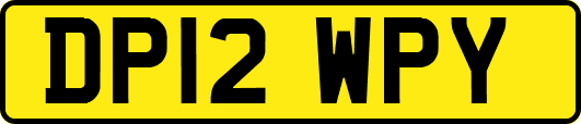 DP12WPY