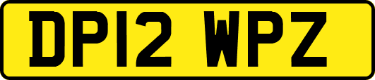 DP12WPZ