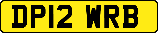DP12WRB