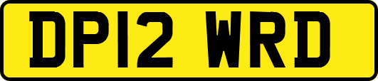 DP12WRD