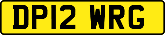 DP12WRG