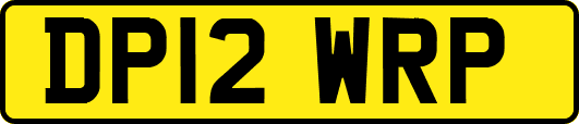 DP12WRP