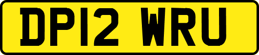 DP12WRU