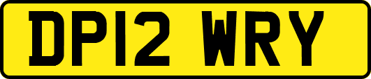 DP12WRY