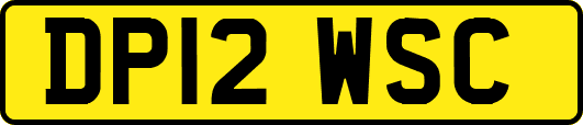 DP12WSC