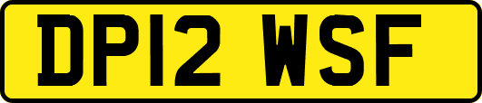 DP12WSF