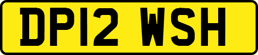 DP12WSH