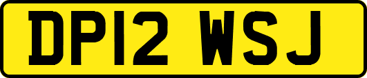 DP12WSJ