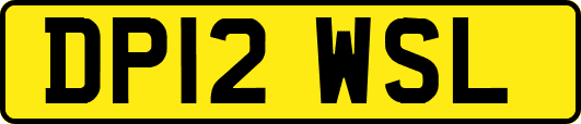 DP12WSL