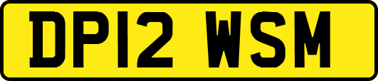 DP12WSM