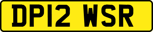 DP12WSR