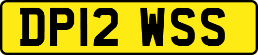 DP12WSS