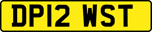 DP12WST