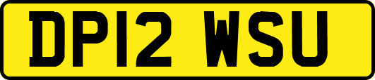 DP12WSU