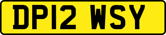 DP12WSY
