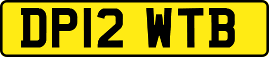 DP12WTB
