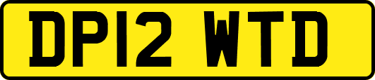 DP12WTD