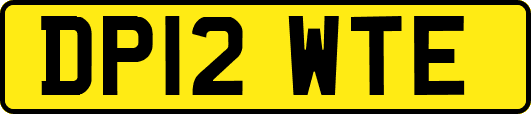 DP12WTE