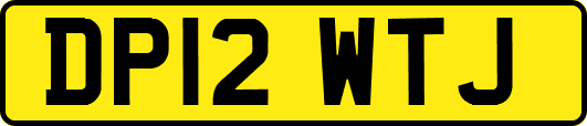 DP12WTJ