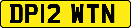 DP12WTN