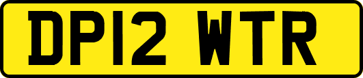 DP12WTR
