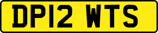 DP12WTS