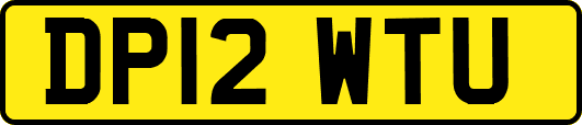 DP12WTU